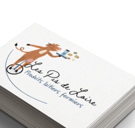 graphiste_Studio_Paruline_gwendoline_maier-la_pommeraye