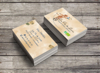 graphiste_Studio_Paruline_gwendoline_maier-la_pommeraye