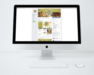 Cliquez pour visiter la page FACEBOOK_LOGO-momes-en-nature-studio-paruline-graphiste-maine-et-loire