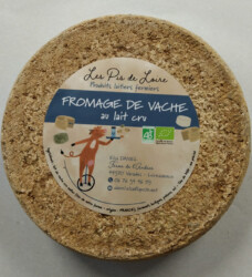 graphiste_Studio_Paruline_gwendoline_maier-la_pommeraye