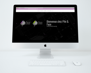 Cliquez pour visiter le site graphiste_Studio_Paruline_gwendoline_maier-la_pommeraye